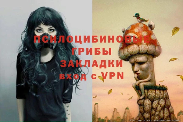 мяу мяу мука Армянск