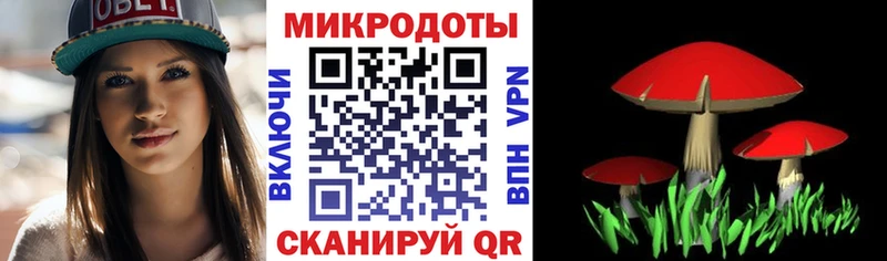 Галлюциногенные грибы ЛСД  Шатура 