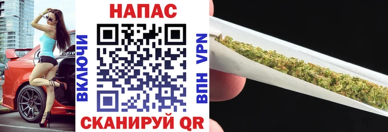 KRAKEN ONION  цена наркотик  Шатура  darknet формула  Бошки марихуана SATIVA & INDICA 